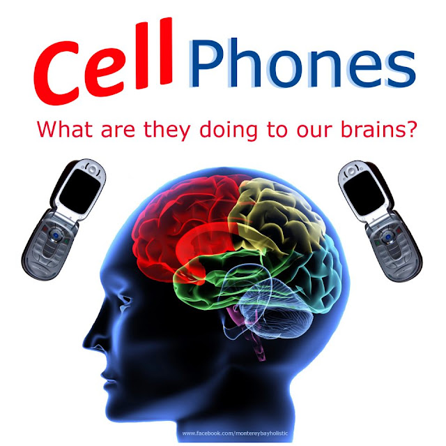 How Scientists Studied Cell Phones & the Brain cell phone brain