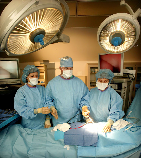 10 Tips For Day Surgery Procedure Patients day surgery procedure