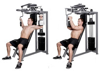 seated chest fly machine