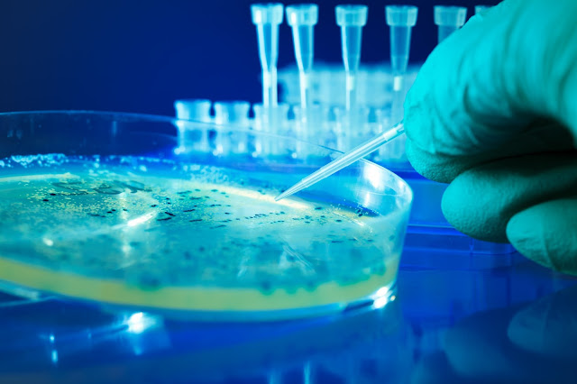 Stem Cell Tourism – A Scam or Frontier Science? stem cell