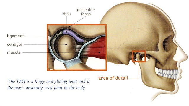 Temporomandibular Joint (TMJ) Disorder Overview temporomandibular joint